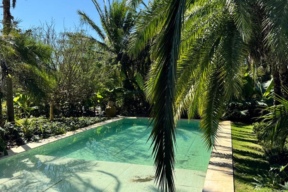 A piscina comprida, cercada de palmeiras