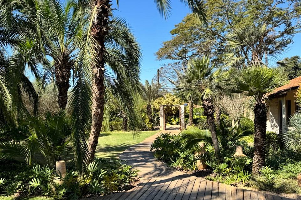 O deck aberto e o jardim de palmeiras